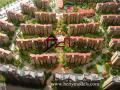 Beijing apartment residential scale models 